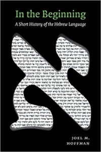 https://www.amazon.com/Beginning-Short-History-Hebrew-Language/dp/0814736904/?tag=gdst-bible-20